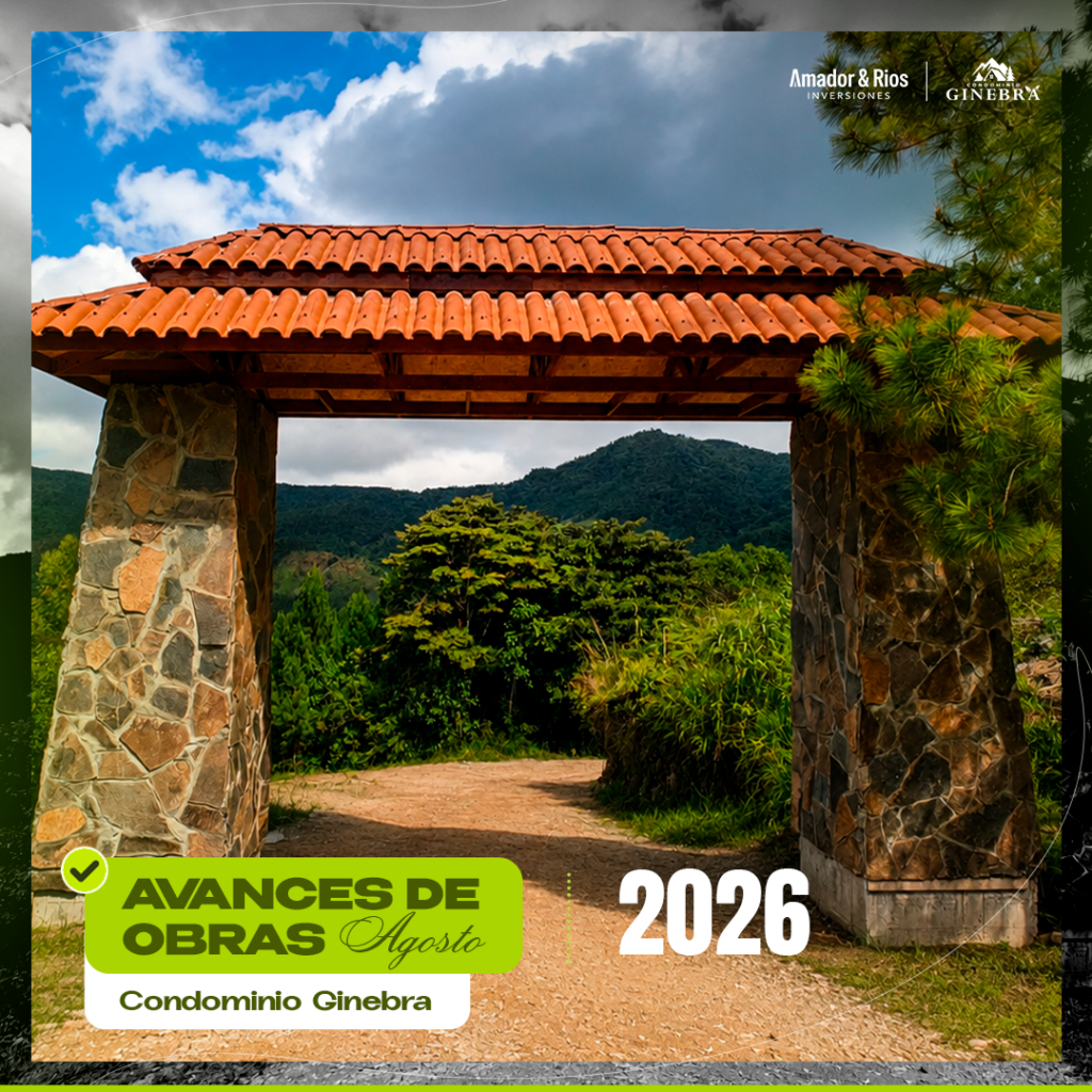 Ginebra_Avances de Obras_5